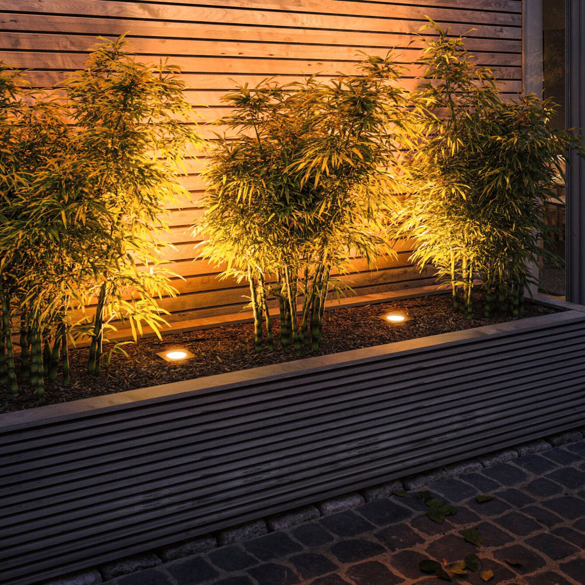 An outdoor planter with bamboo plants glows under the soft illumination of the Paulmann - Plug & Shine Insect Friendly Outdoor 4.5W LED Recessed Floor Individual Spotlight in Anthracite, casting a gentle ambiance against a slatted wooden fence while creating an insect-friendly haven.