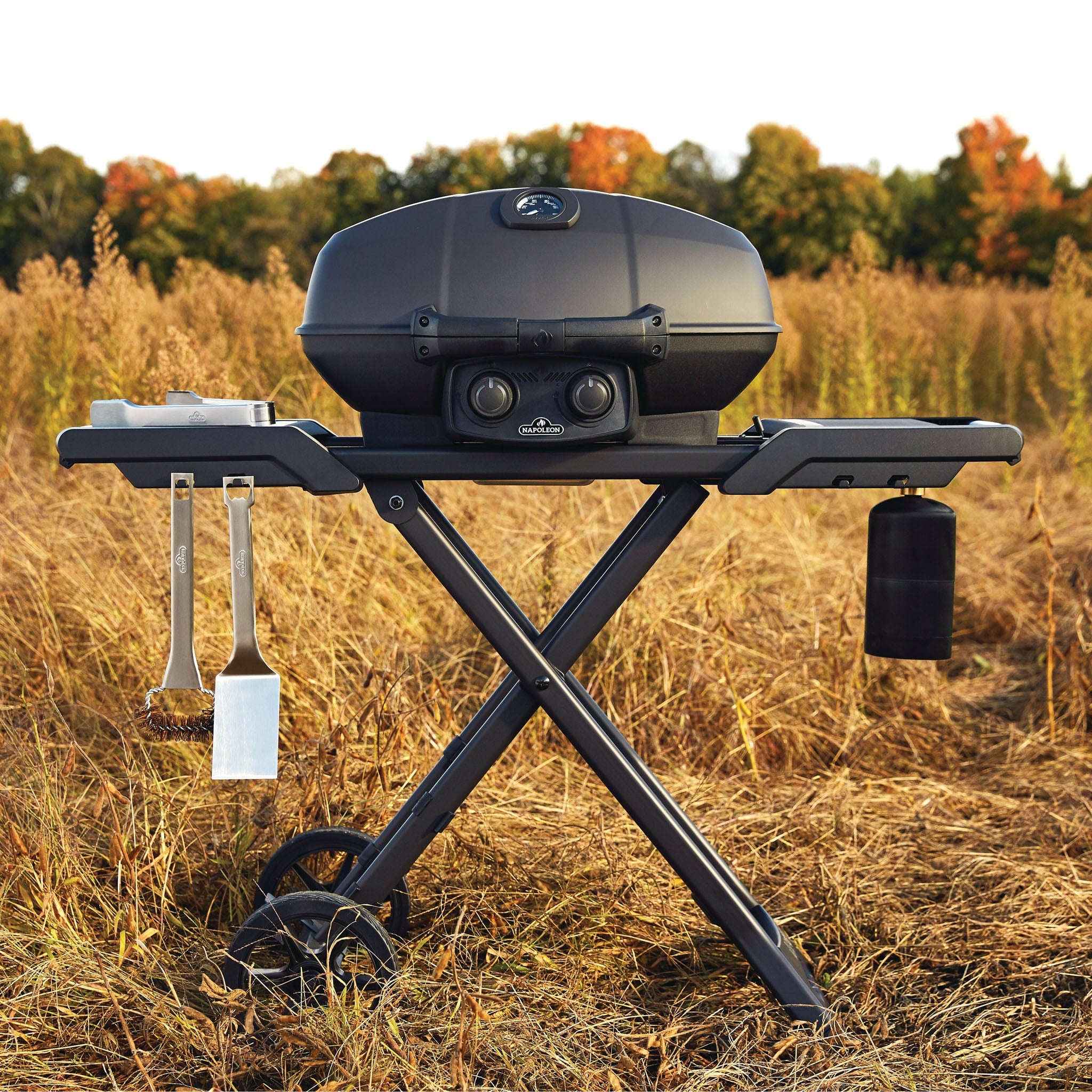 BBQs To Consider Buying This Summer: Gas, Charcoal, Electric & More