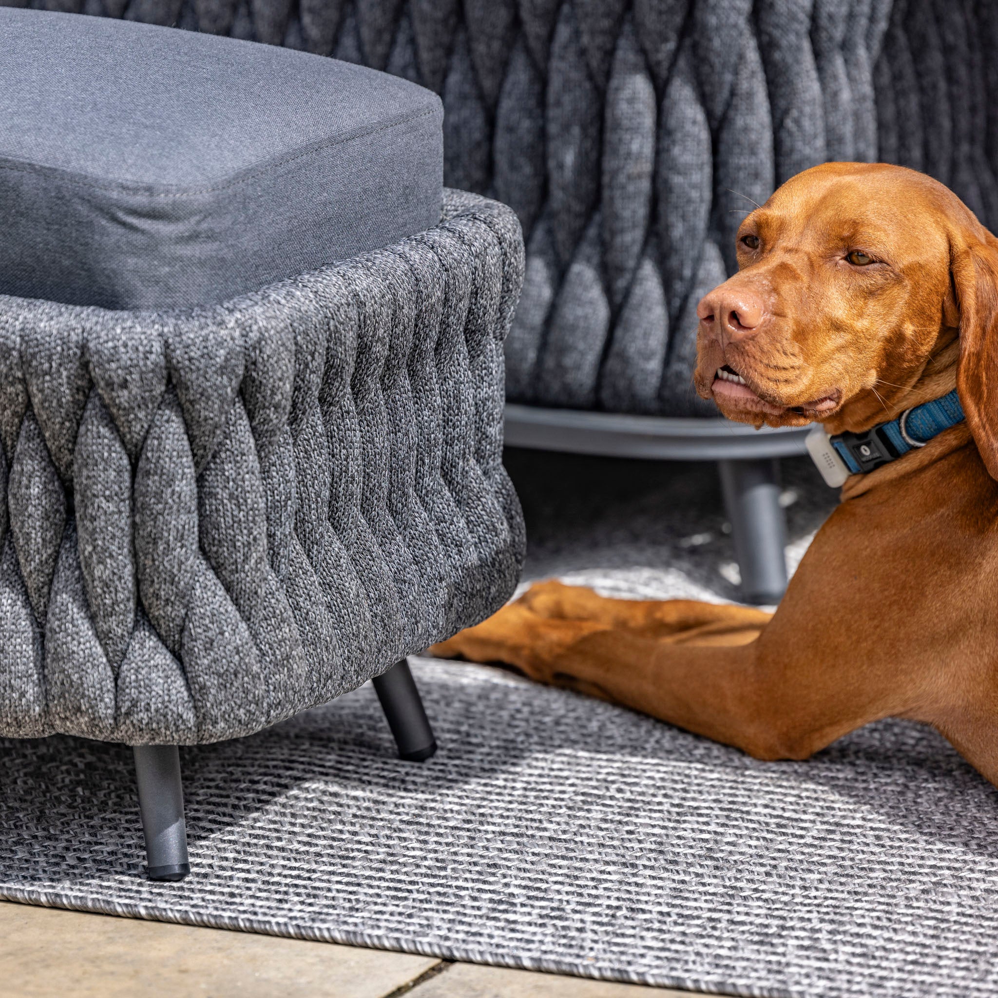 A brown dog with a blue collar lies on a textured gray rug beside a gray woven upholstered chair, perfectly complementing the Palma U-Shape Rope Corner Dining Set with Rising Table in Grey from Harbour Lifestyle.