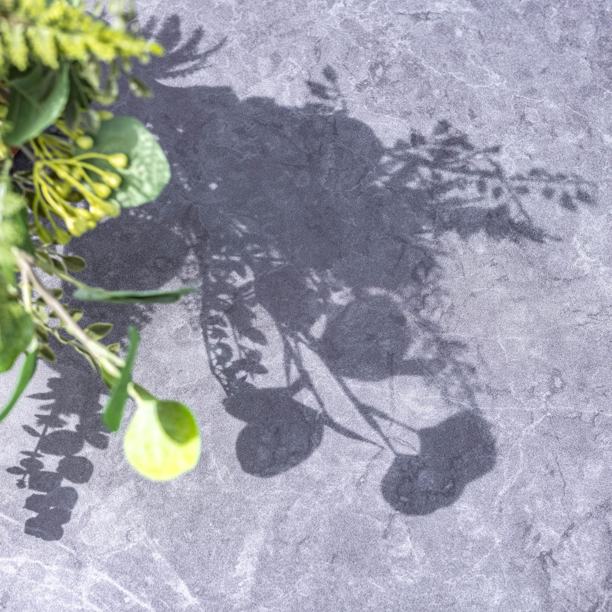 Green leaves casting intricate shadows on a light gray, textured background, reminiscent of the elegance found in the Palma Rope Rectangular Corner Dining Set with Rising Firepit Table in Grey (Right Hand).