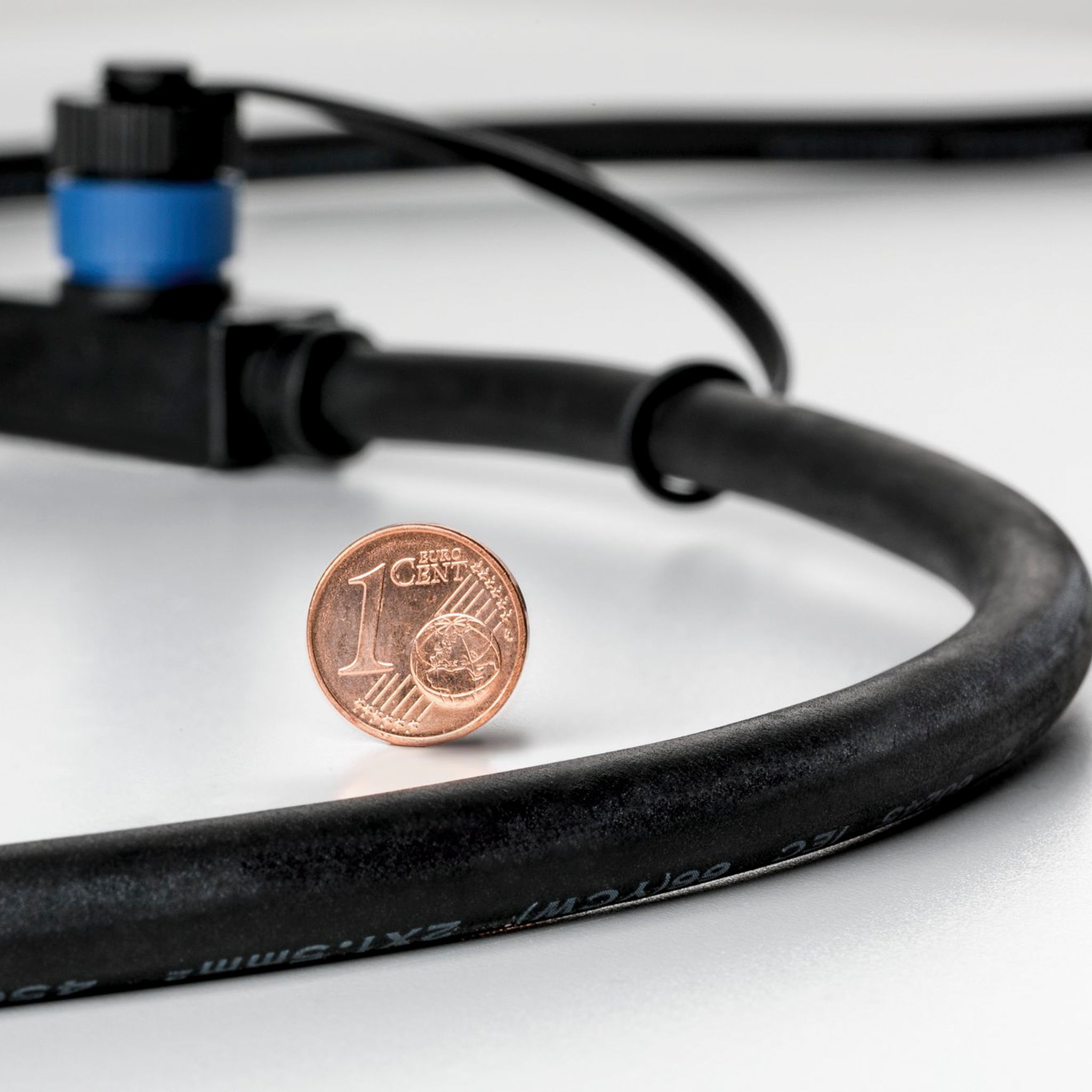 A 1 euro cent coin stands upright on a white surface, next to a black hose from the Paulmann Plug & Shine Outdoor 10m Cables with 5 Outputs.