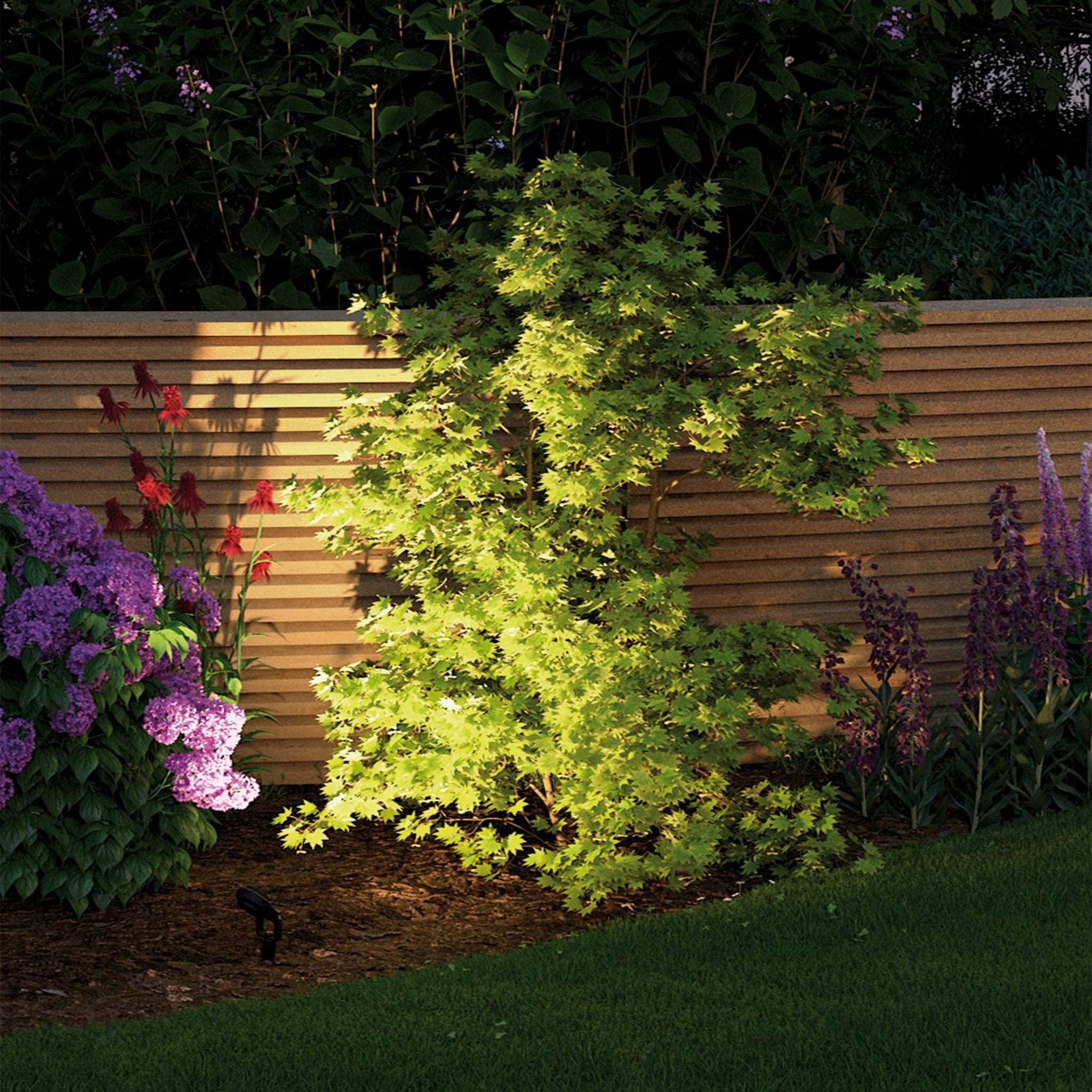 The Paulmann - Plug & Shine Outdoor Sting 6.3W LED Warm White Individual Spotlight in Anthracite beautifully illuminates a leafy bush in a garden adorned with flowers and framed by a wooden fence.