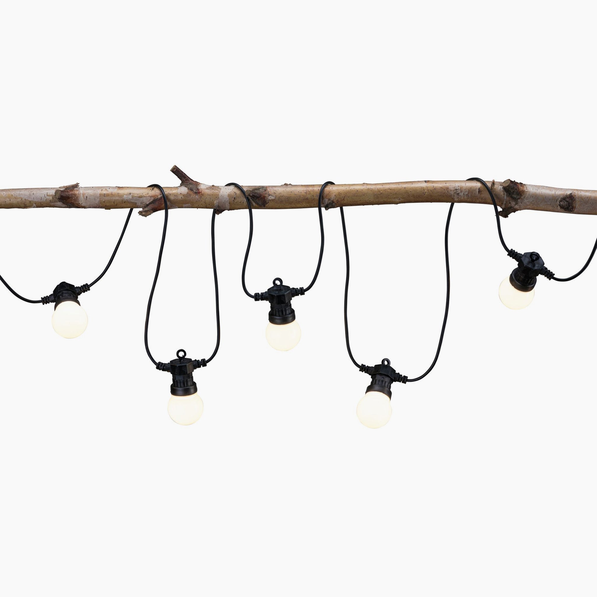The Paulmann - Plug & Shine Outdoor 1.5W LED Fairy Lights in Anthracite, featuring five glowing bulbs that emit a warm white light, are elegantly draped from a wooden branch against a plain background. These stylish lamps are perfect for outdoor lighting setups and add a cozy charm to any space.