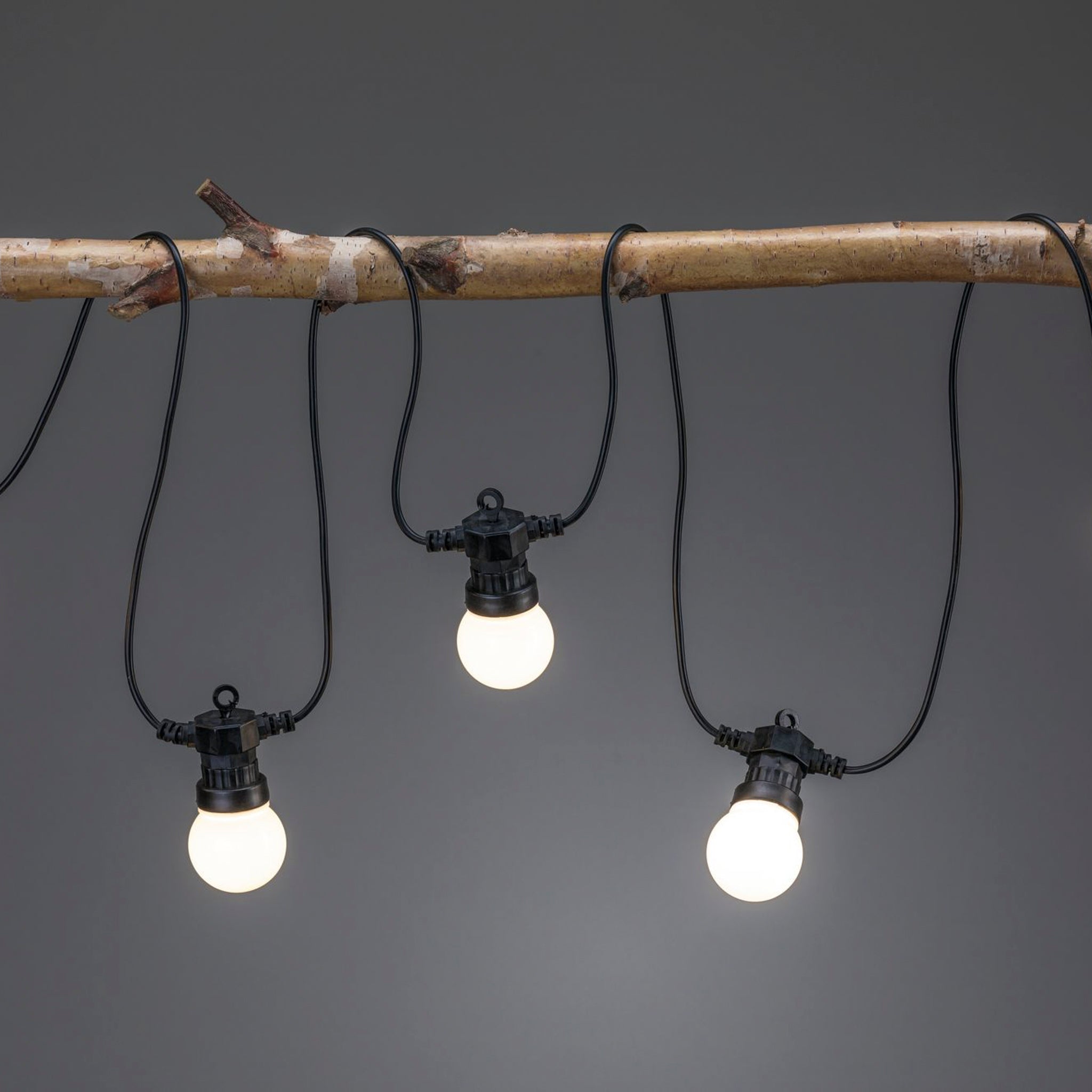 Three LED fairy lights hang on black cords, elegantly draped over a wooden branch against a gray backdrop, casting a warm white glow. Creating an inviting atmosphere, this setup mirrors the sophistication of the Paulmann Plug & Shine Outdoor 1.5W LED Fairy Lights in Anthracite.
