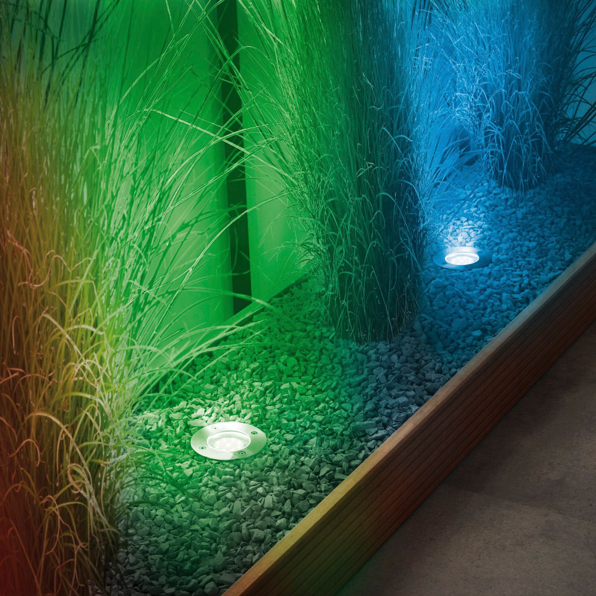The Paulmann - Plug & Shine Outdoor 3.6W RGBW Floor Mini Individual Spotlight in Silver casts vibrant green and blue hues, beautifully illuminating tall grasses and pebbles.