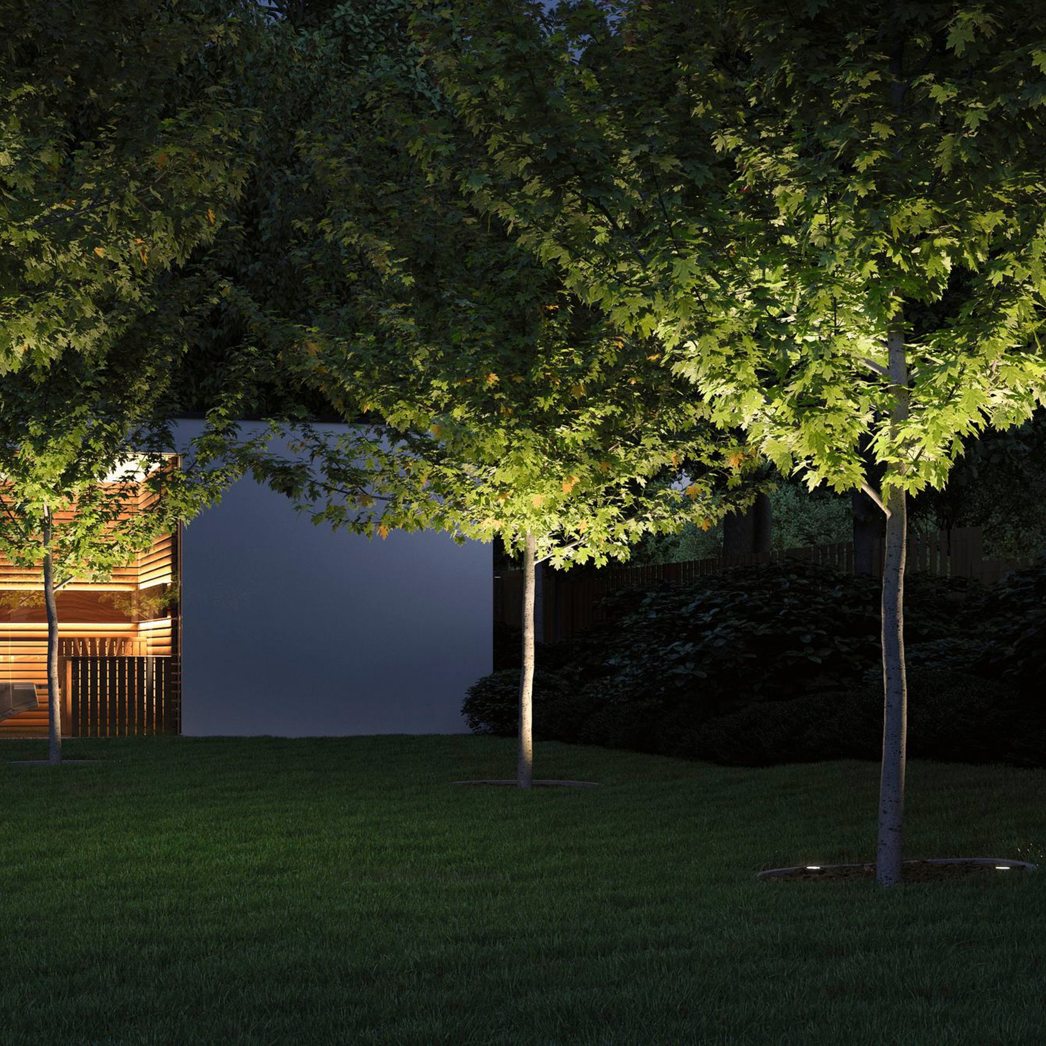 The trees are beautifully illuminated at night with the Paulmann Plug & Shine Outdoor 7W LED Recessed Floor 7.6cm Spotlight in Grey on the lawn, while a modern building peeks through the shadows in the background.
