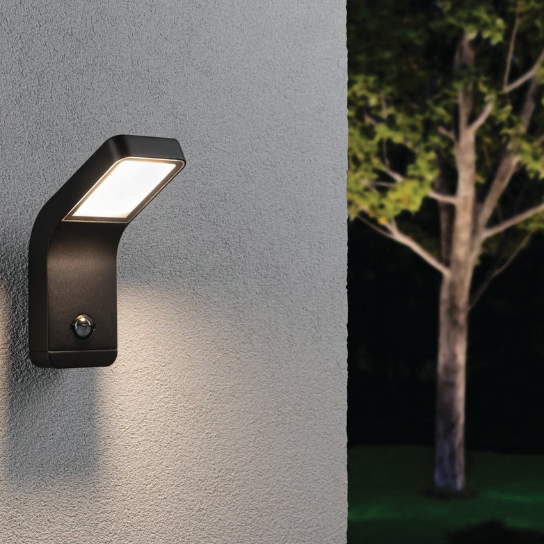 The Paulmann Outdoor Kulma 9W LED Wall Light with Motion Detection in Anthracite, mounted on a textured wall and designed to resist corrosion, casts its glow and elegantly illuminates a tree against the dark backdrop.