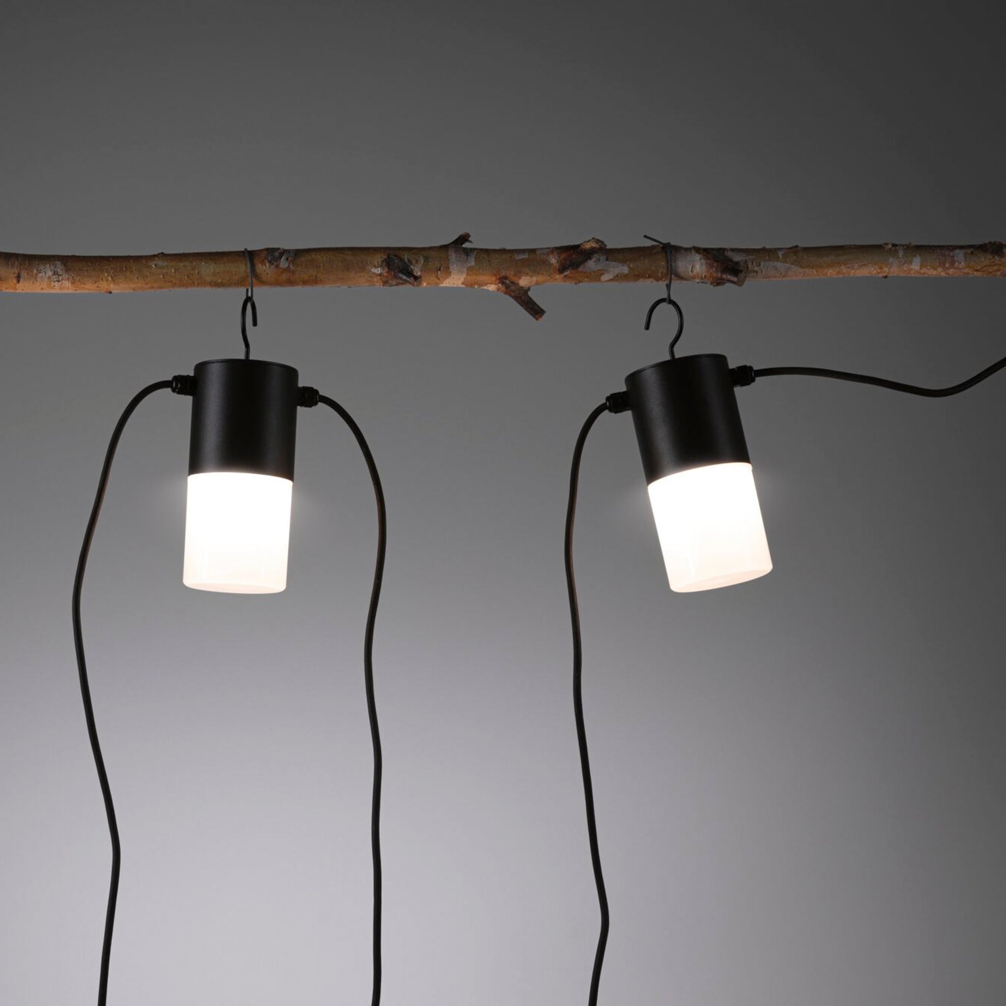 The Paulmann Plug & Shine Outdoor 2W LED Fairy Lights in Anthracite create a stunning display with their warm white glow against a gray backdrop, reminiscent of elegant outdoor decorations.