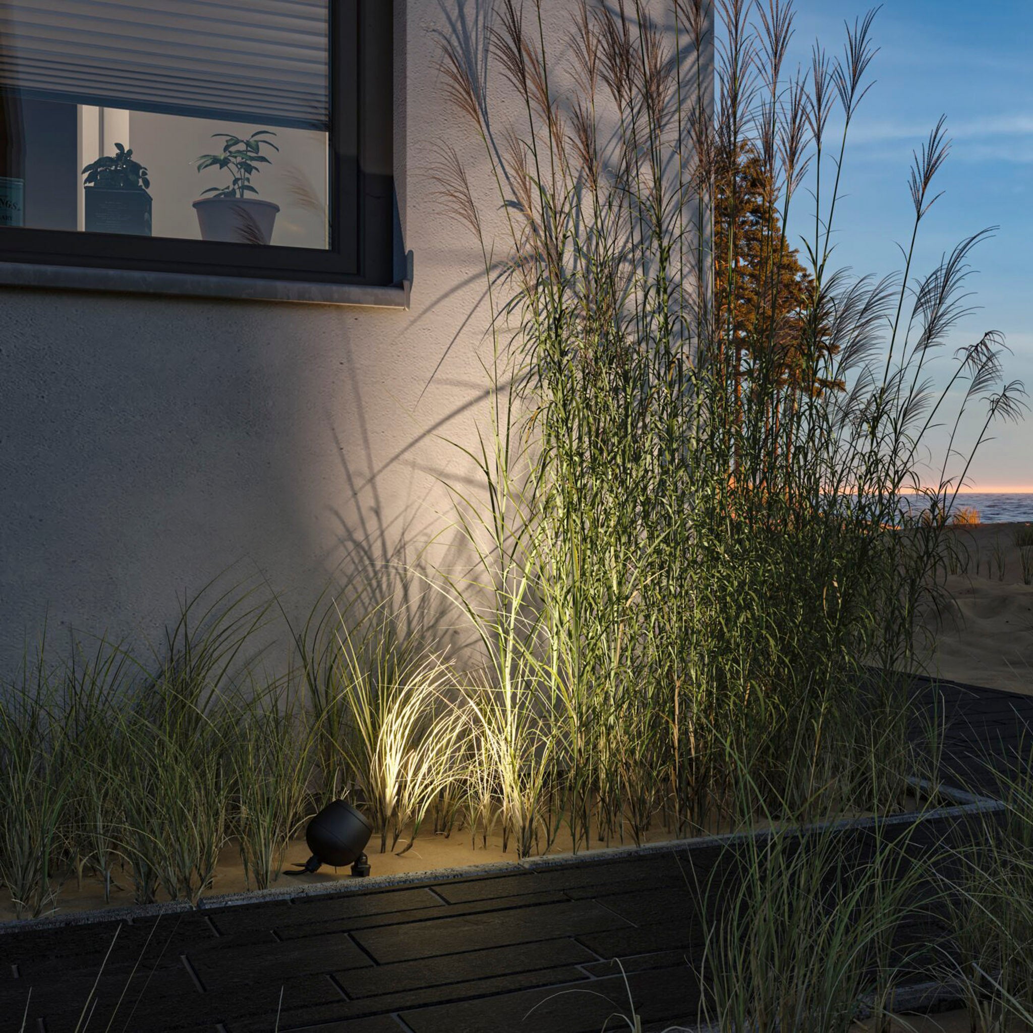 Tall grasses, illuminated by a Paulmann Plug & Shine Outdoor Kikolo 7.2W LED 60 degrees garden spotlight in anthracite, cast gentle shadows on the house wall at dusk. The warm white light enhances the serene evening ambiance.
