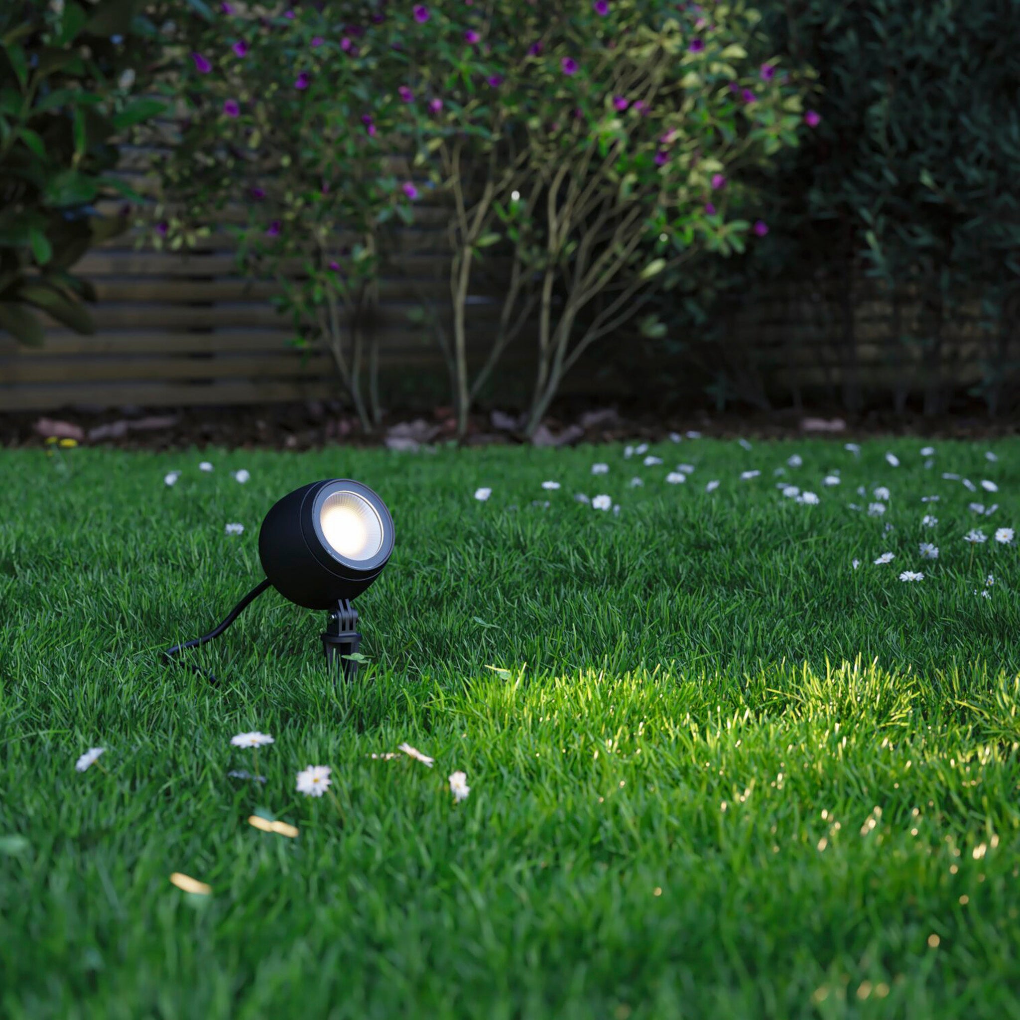 The Paulmann Plug & Shine Outdoor Kikolo 7.2W LED Garden Spotlight in Anthracite with a 20-degree beam angle bathes a patch of grass in the garden in warm white light, softly highlighting small white flowers and leafy plants in the backdrop.