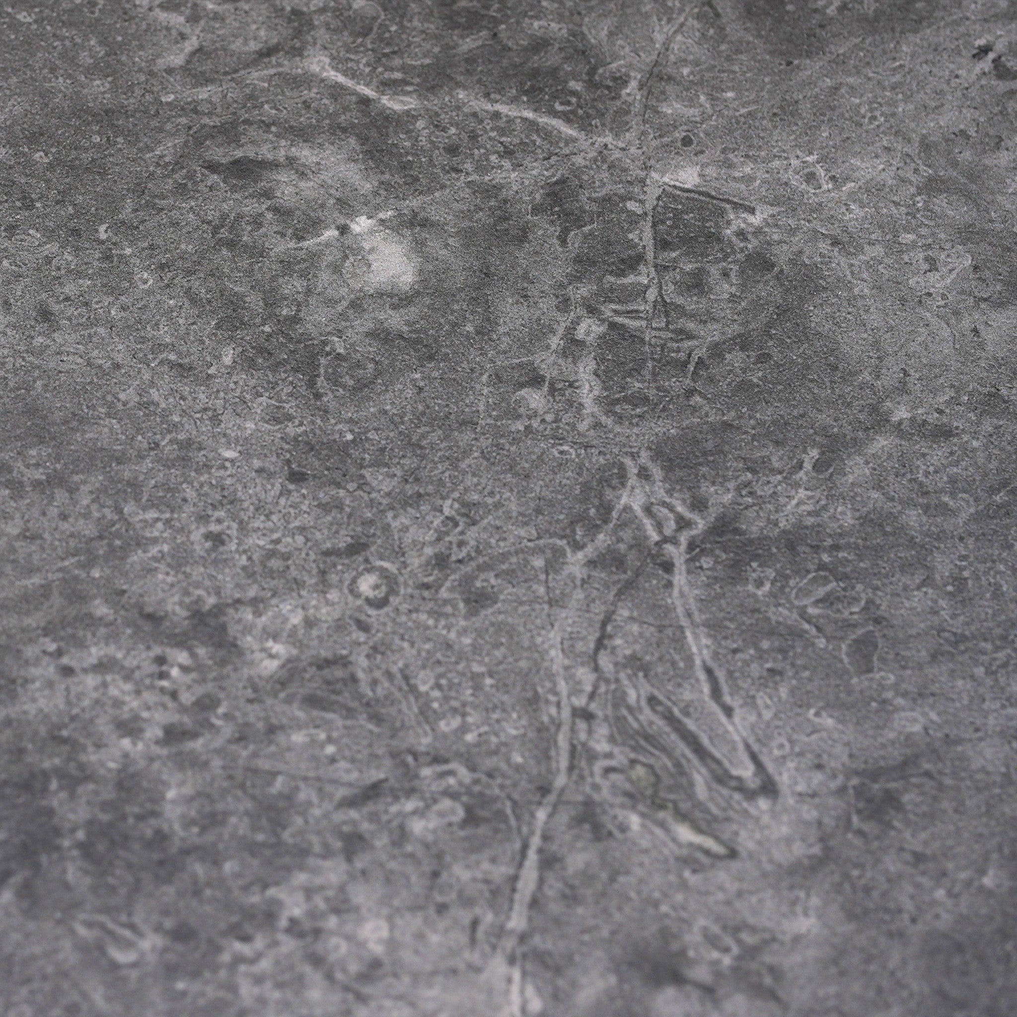 Close-up of a gray stone surface with natural lines and subtle texture, ideal for pairing with the Pello 8 Seat Oval Dining Set with Ceramic Table in Grey or other weather-resistant patio furniture.