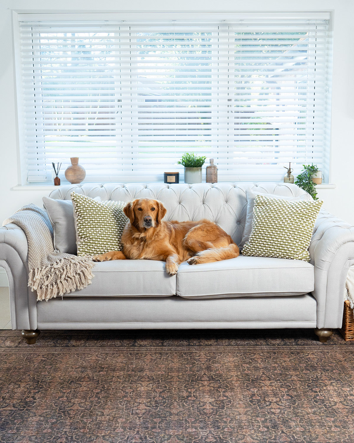 Sofas & Armchairs