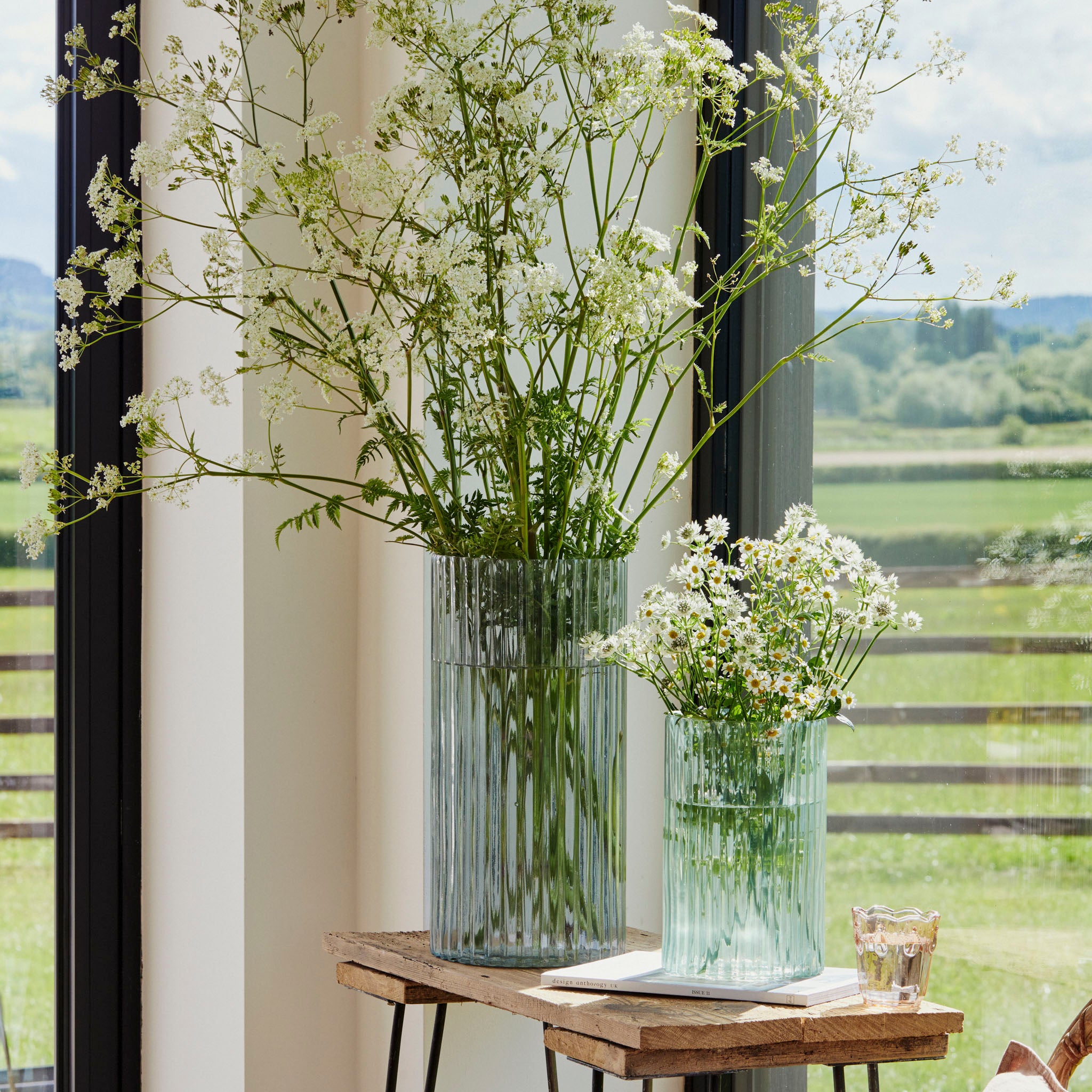 Two Daphne large ribbed vases in sage with white flowers adorn a small wooden table near a window, overlooking a picturesque countryside. This sustainable interior décor piece evokes a 1960s inspired design, blending timeless elegance with eco-friendly charm.