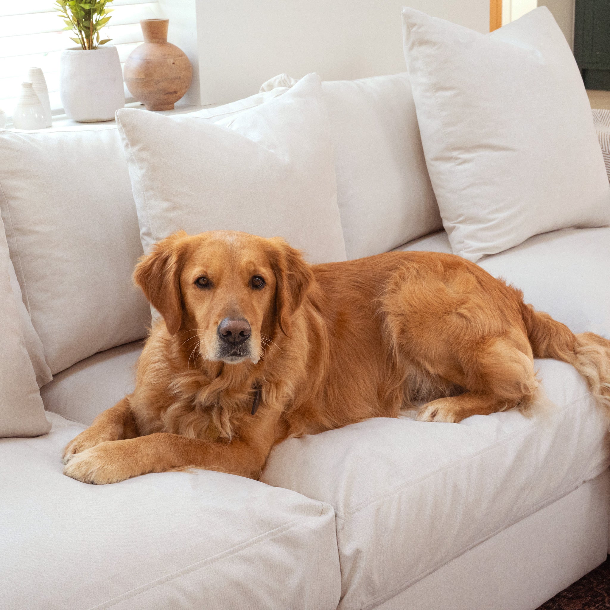 Hampshire Modular 3 Seat Sofa in Ivory