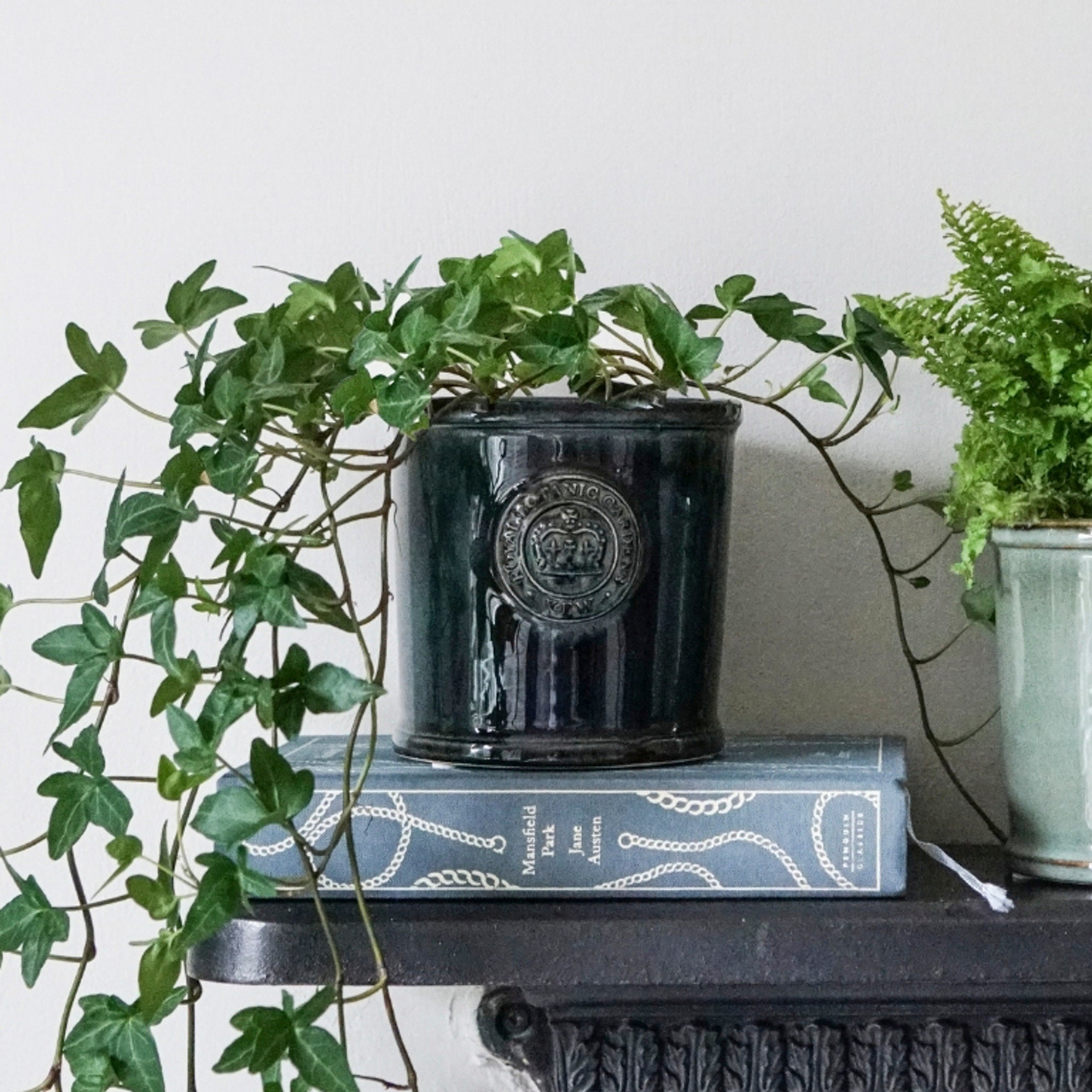 A potted plant with trailing leaves sits on a shelf alongside a closed blue book and another in the Ivyline - Kew Reactive Glaze Emerald Planter.