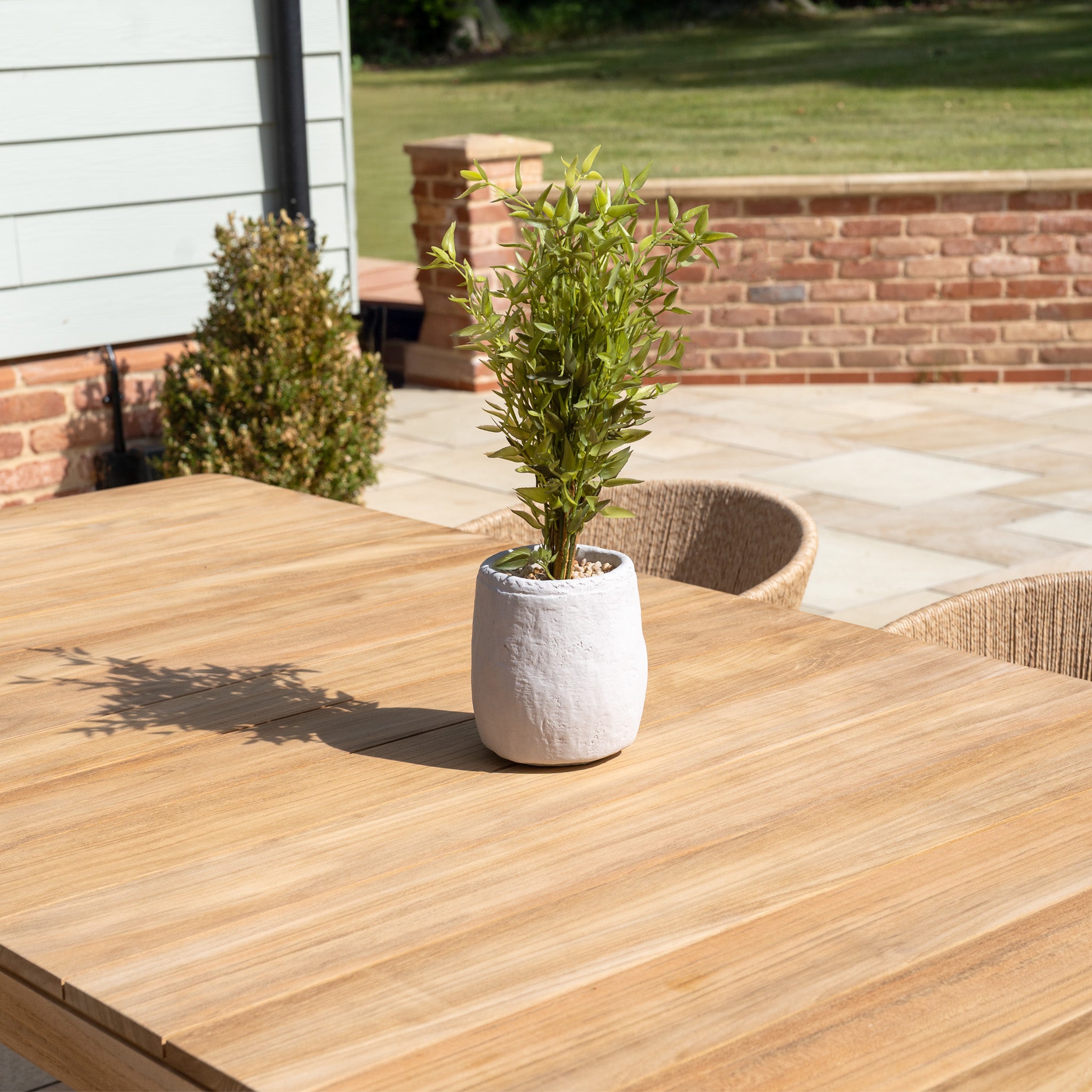 A small potted plant sits on the teak table of the Lucca 8 Seat Dining Set in Natural Weave, with chairs illuminated by sunlight on a patio.