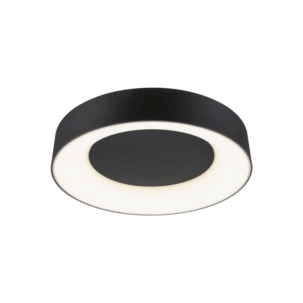 Ceiling Lights