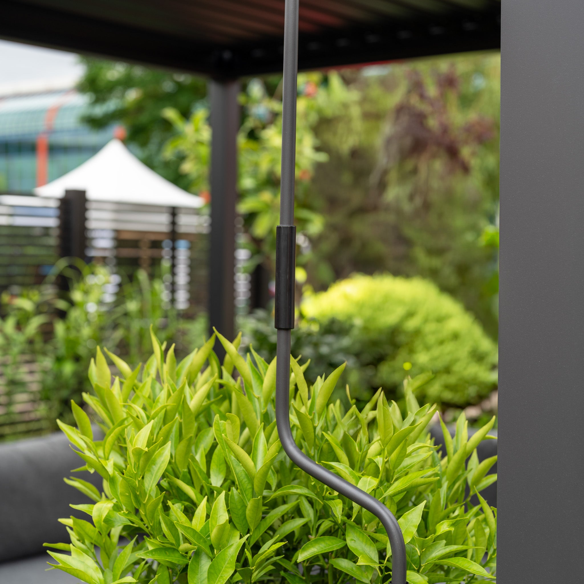 The PergoSTET Lite Neo 3m x 6m Metal Rectangular Pergola in Grey stands near a green leafy shrub, with its curved metal rods and an outdoor seating area visible, along with fencing in the background.