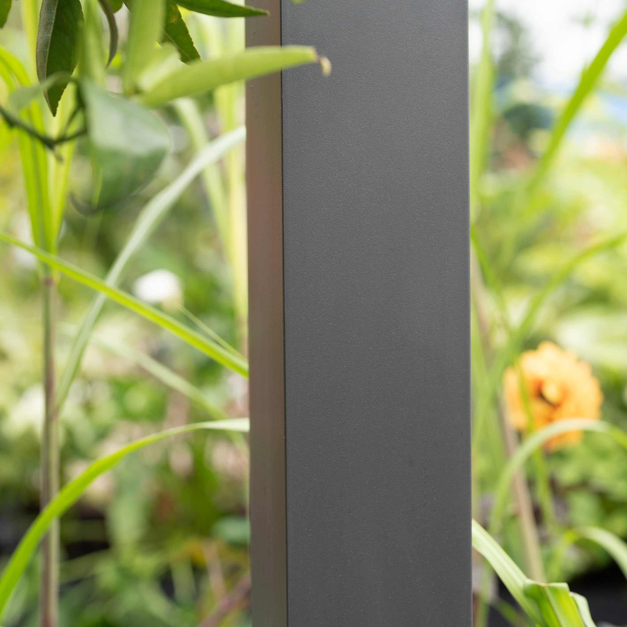 The PergoSTET Lite Neo 3m x 3m Metal Square Pergola in Grey features tilting louvres and stands among green plants and a yellow flower, bringing modern style to your garden.
