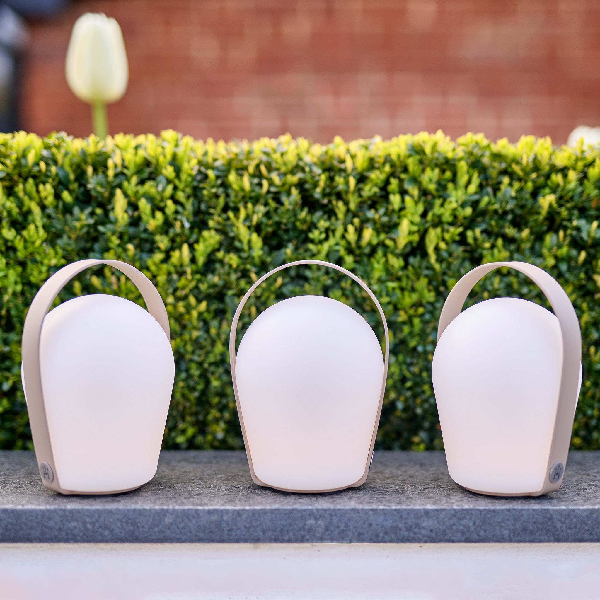 Three Bob Small Table Lights in Sand (3 Pack) are placed on a ledge in front of green shrubs, with a white flower in the background.