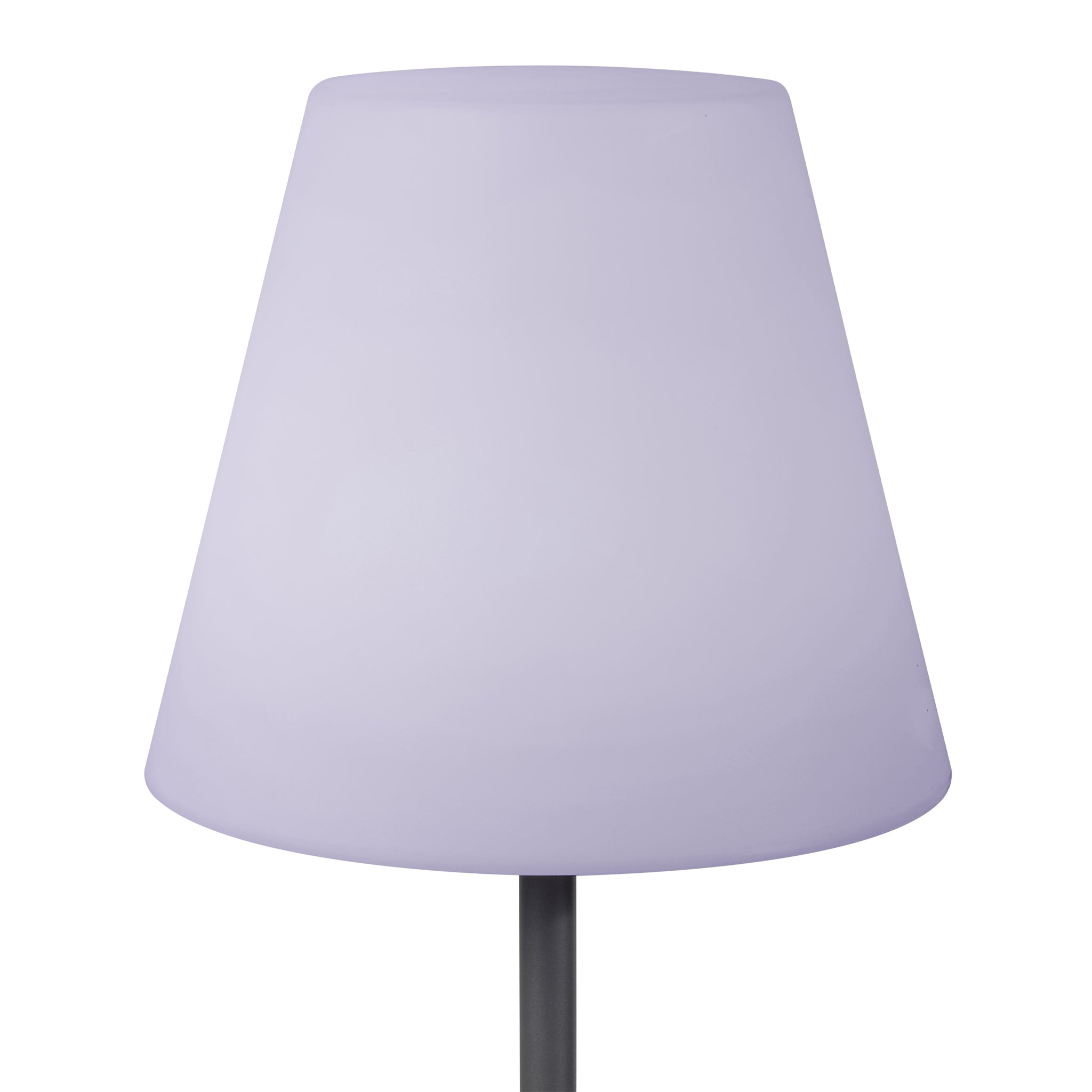 The Pacific Lifestyle Grey Metal Floor Lamp features a minimalist design with a conical shade on a slender stand, ideal for both indoor and outdoor use against a white background.