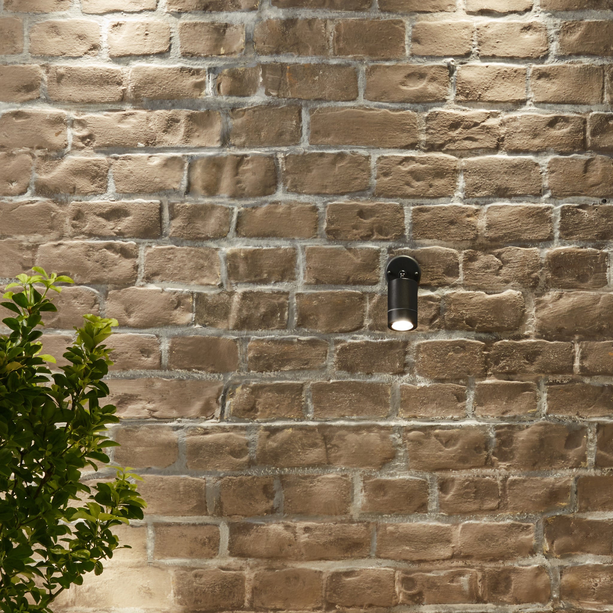 Lantana Adjustable Directional Spot Light in Dark Grey