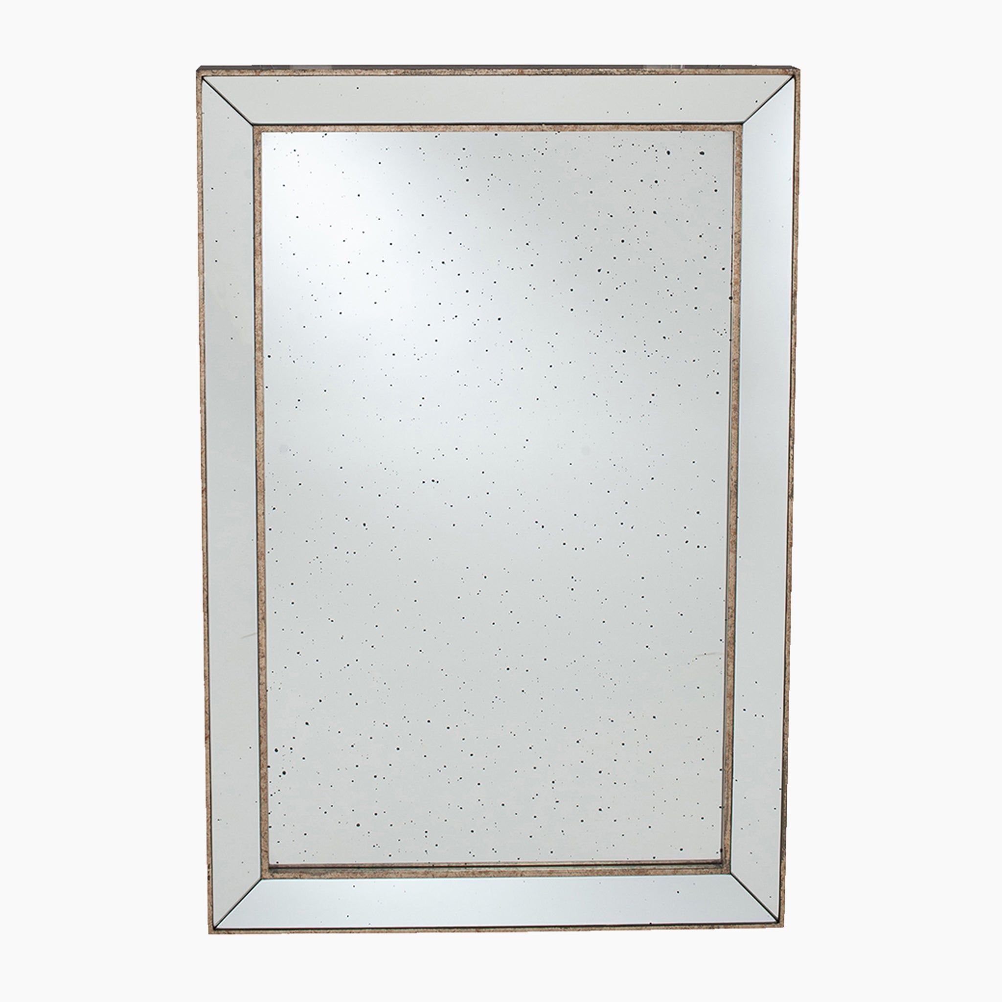 Antique Gold Metal and Foxed Glass Rectangular Mirror