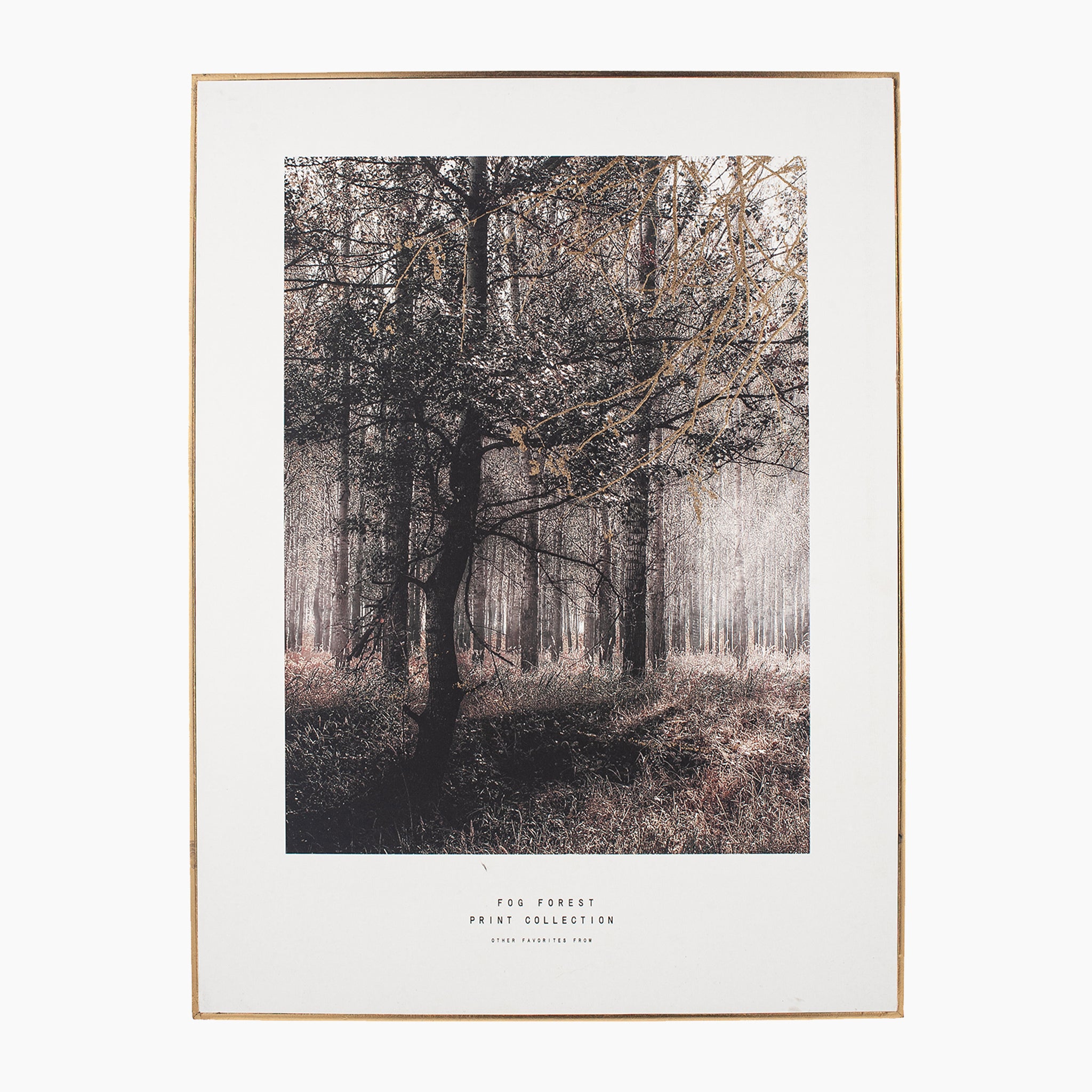 Mono Forest Trail Print with Gold Detail and Black Frame