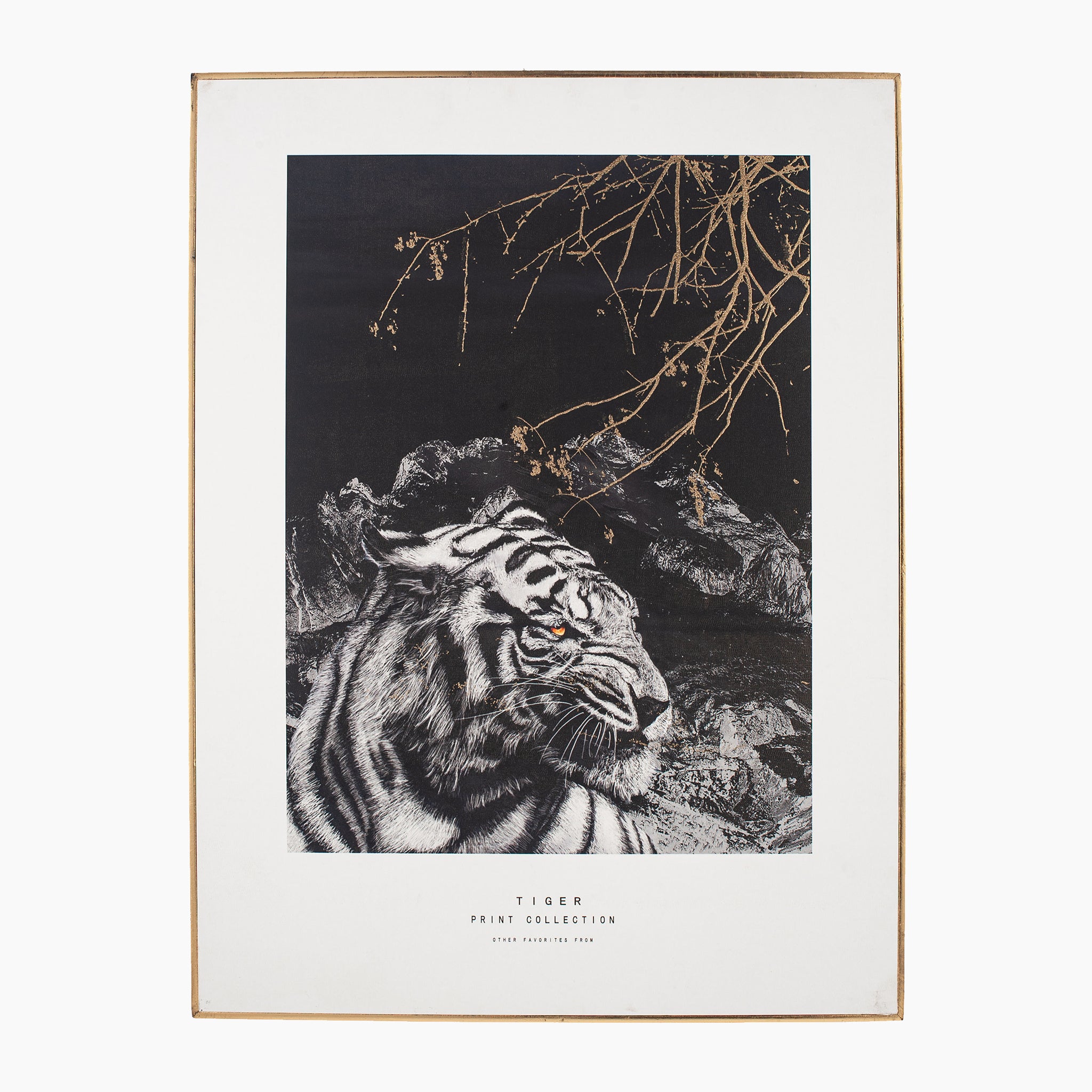 Mono Tiger Print with Gold Detail and Black Frame